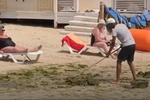 Синьо-зелені водорості атакували одеські пляжі: чи безпечно купатися та яка причина явища