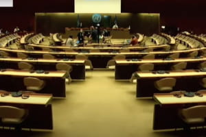 Україна відкликала підпис під документом ООН щодо геноциду уйгурів у Китаї – причини дипломатичного скандалу