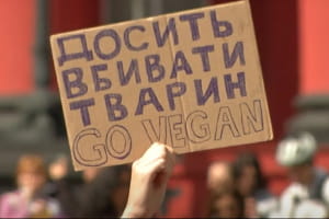 "Захист слабких – справа сильних!": в Україні вп'яте відбувся марш за права тварин – сюжет