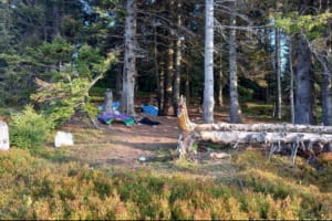 Гибель двух человек в результате взрыва в Карпатах: что известно