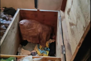 Детей нашли мертвыми в старом сундуке: в Донецкой области произошла жуткая трагедия