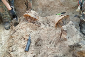 На Житомирщині виявили масове поховання солдатів Вермахту
