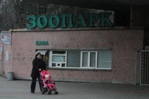 У Київському зоопарку встановлять турнікети для електронних квитків на вході