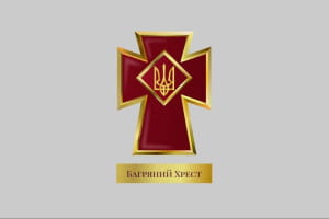 В Украине ввели новую награду 