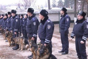 Київське метро відтепер охоронятимуть з собаками