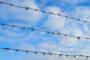 В Германии судят 100-летнего экс-охранника концлагеря Заксенхаузен