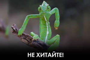 Чим глибше у "вагнергейт", тим свій Єрмак ближче до тіла – "Час Ч"
