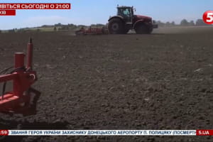 Через надмірне розорювання в Україні руйнуються ґрунти сільгосппризначення: як урятувати землю – екологи