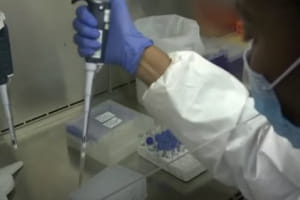 У Туреччині вирує штам коронавірусу "Омікрон": де фіксують найбільшу кількість хворих