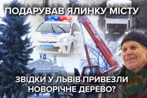 Подарунок Львову: чоловік порадував місто новорічною красунею, яка 35 років росла на його подвір'ї