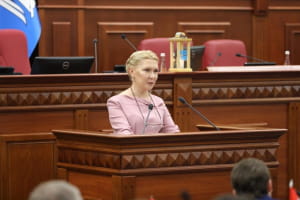 При Київраді створять Координаційну раду з питань внутрішньо переміщених осіб – депутатка