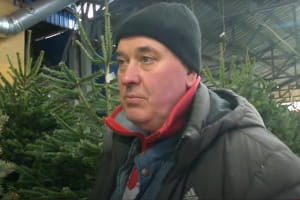 Ялинкові ярмарки запрацювали в Києві: як радять обирати та скільки коштуватиме новорічне дерево – включення