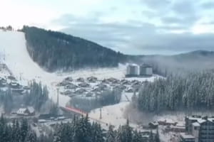 АРМА заблокувало продаж 460 га землі компаніям, пов&rsquo;язаним із Льовочкіним &ndash; подробиці