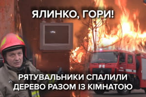 Спасатели сожгли елку для эксперимента: каковы результаты и удалось ли спасти комнату – сюжет