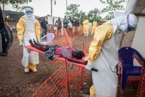 ВООЗ: число жертв лихоманки Ебола може перевищувати 5 тисяч людей
