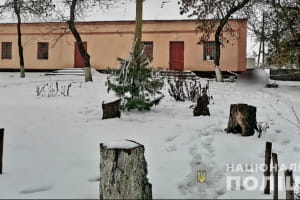 "Дістав ніж, щоб змусити відповісти взаємністю": на Миколаївщині жінка вбила чоловіка, який напав на неї – їй загрожує до 15 років