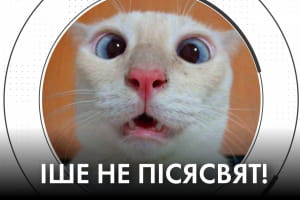 СРСР 2.0: плюс Казахстан та коли в Україні введуть продуктові картки – "Час Ч"
