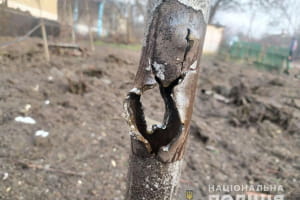 Обстріл Старогнатівки російськими окупантами: тяжкого поранення зазнав армієць ЗСУ
