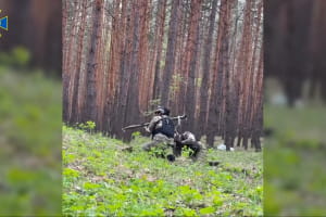 Як кадирівські "тікток-війська" проти трьох сосен воювали – СБУ