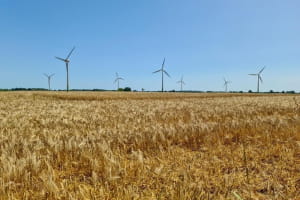 росія зруйнувала або пошкодила 90% вітрових електростанцій в Україні