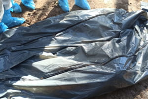В Ізюмі на місці масового поховання ексгумували вже 427 загиблих, серед них 202 жінок – Нацполіція