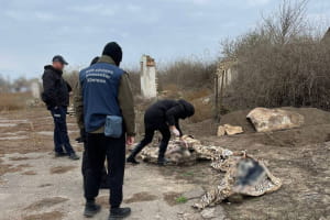 Злочини зс рф на Херсонщині: виявлено тіла подружжя фермерів, які загинули під час окупації – ОГПУ