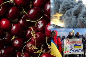 Город черешни, а сейчас – украинского подполья: сюжет о Мелитополе