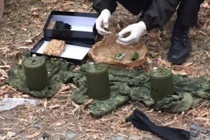 СБУ попередило російський теракт проти урядової делегаці Нідерландів