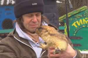 Через війну бабак Тимко майже не спав і дуже схуд: що він навіщував – сюжет