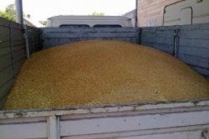 Україна тимчасово не прийматиме продуктів з окупованого Криму