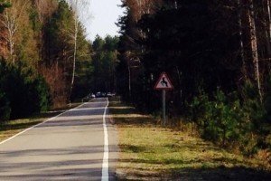 На Чернігівщині розпочато кримінальне провадження стосовно посадовців, які забезпечували "Сухолуччя"