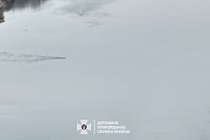 Пятеро мужчин пытались переплыть Днестр, но были пойманы – в ГПСУ обнародовали видео