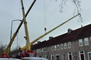 У Нідерландах чоловік, який хотів освідчитися, проламав дах будинку