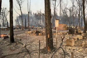 Лісова пожежа на Харківщині забрала життя чотирьох осіб