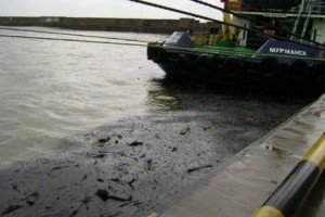 Внаслідок розливу нафти російськими компаніями можуть загинути тисячі тварин - WWF