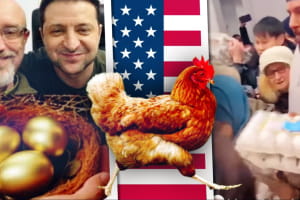 Доходит даже до драк: почему в США выросла цена на яйца и как на это реагируют украинцы