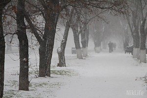 Рух транспорту на в’їздах до Одеси і Миколаєва відновлено – ДСНС