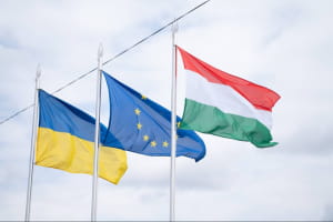 Вступ до ЄС: Україна готова завершити роботу над формулюваннями прав нацменшин, які вимагає Угорщина – Качка