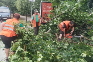 Негода в Києві: є потерпілі, серед них дитина. Синоптики попереджають про І рівень небезпеки майже по всій території України (відео)