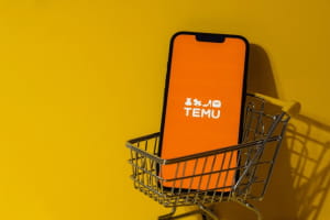 На Temu знайшли заборонені дитячі товари: Єврокомісія погрожує санкціями