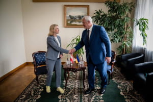 Австрия предоставит Украине дополнительные €2 млн гуманитарной помощи 