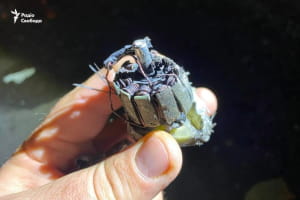 Враг атаковал Краматорск, вероятно, впервые дронами на оптоволокне – СМИ (фото, видео)