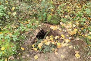 Польские пограничники обнаружили тоннель на границе с Беларусью (фото)