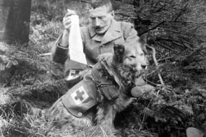 Собаки милосердя, також відомі як собаки-рятувальники або собаки швидкої допомоги, використовувалися під час Першої світової війни для пошуку поранених солдатів на полі бою та надання комфорту тим, хто вмирав.