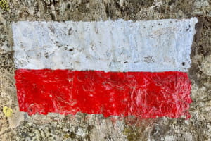 Прапор Польщі