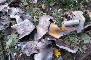 На Харківщині російські удари понівечили залізничну та критичну інфраструктуру
