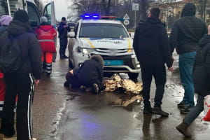 У Прилуках поліцейський автомобіль збив двох пішоходів: загинула дитина &ndash; відео 