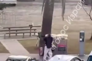 Предполагаемый теракт в Сиднее: во время празднования Хануки на пляже Бонди-Бич открыли стрельбу: есть жертвы (видео 18+)