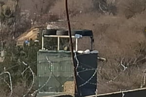 Партизани повідомили про розвідку об'єктів ППО рф у Севастополі