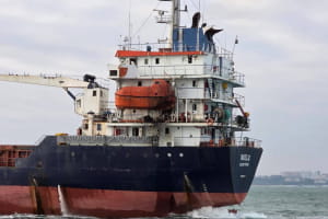 Российские военные атаковали гражданские суда под иностранными флагами: есть погибшие и пострадавшие (фото)